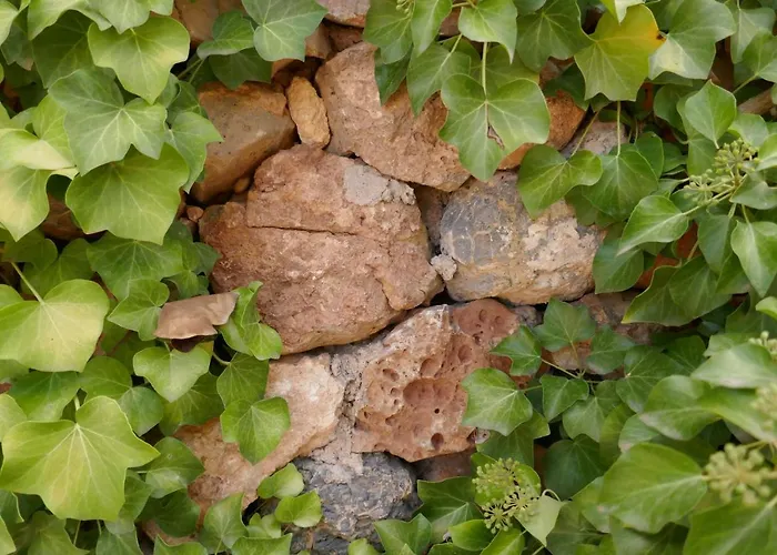 La Casa De Piedra, Una Ventana Al Paraiso